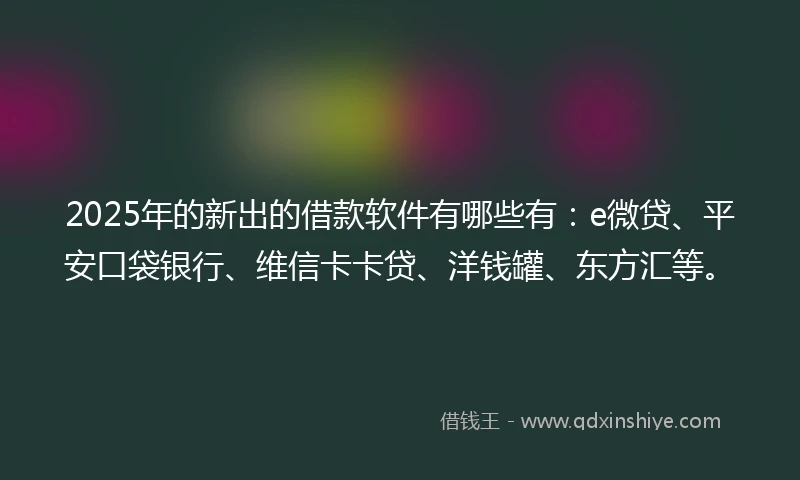 2025年的新出的借款软件有哪些有：e微贷、平安口袋银行、维信卡卡贷、洋钱罐、东方汇等。