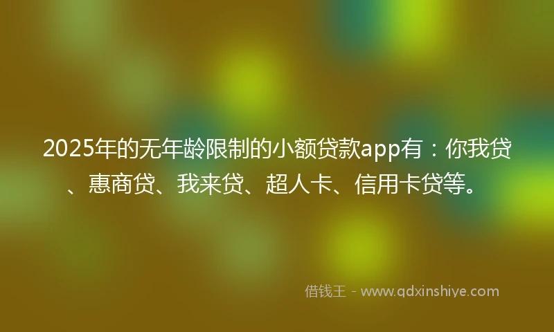 2025年的无年龄限制的小额贷款app有:你我贷、惠商贷、我来贷、超人卡、信用卡贷等。
