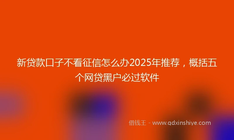 新贷款口子不看征信怎么办2025年推荐，概括五个网贷黑户必过软件