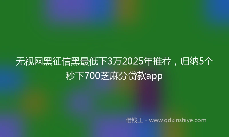 无视网黑征信黑最低下3万2025年推荐，归纳5个秒下700芝麻分贷款app