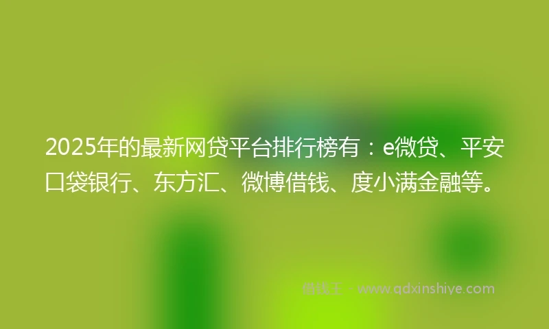 2025年的最新网贷平台排行榜有：e微贷、平安口袋银行、东方汇、微博借钱、度小满金融等。