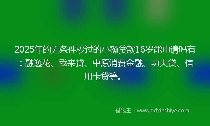 2025年的无条件秒过的小额贷款16岁能申请吗有：融逸花、我来贷、中原消费金融、功夫贷、信用卡贷等。