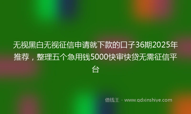 无视黑白无视征信申请就下款的口子36期2025年推荐，整理五个急用钱5000快审快贷无需征信平台