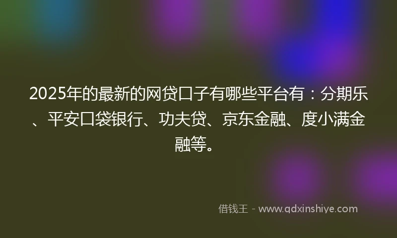 2025年的最新的网贷口子有哪些平台有：分期乐、平安口袋银行、功夫贷、京东金融、度小满金融等。