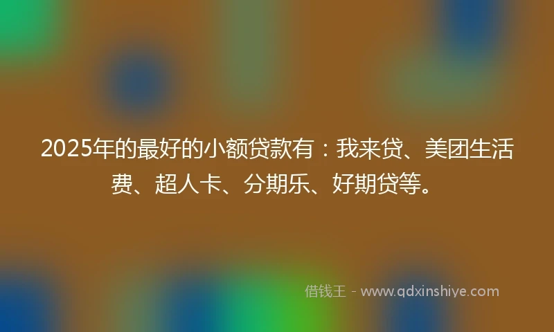 2025年的最好的小额贷款有：我来贷、美团生活费、超人卡、分期乐、好期贷等。