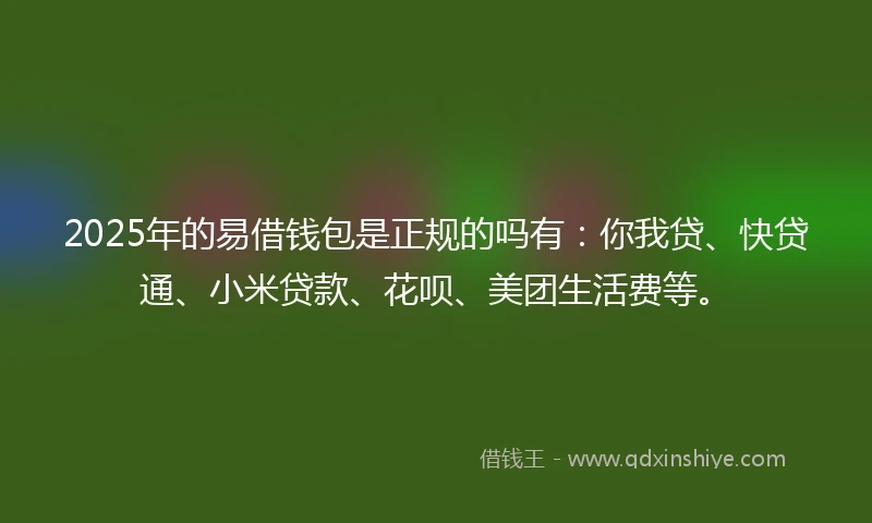 2025年的易借钱包是正规的吗有：你我贷、快贷通、小米贷款、花呗、美团生活费等。