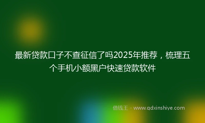 最新贷款口子不查征信了吗2025年推荐，梳理五个手机小额黑户快速贷款软件
