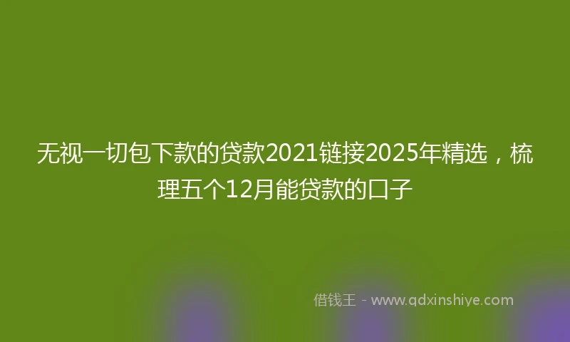无视一切包下款的贷款2021链接2025年精选，梳理五个12月能贷款的口子
