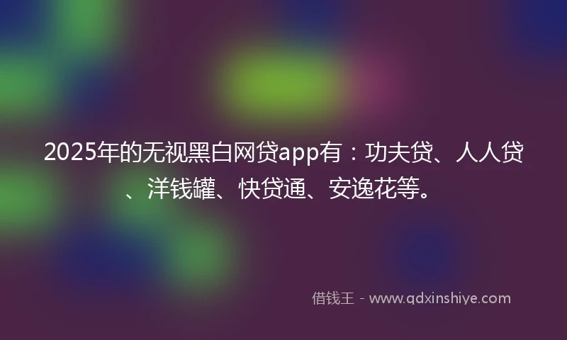 2025年的无视黑白网贷app有：功夫贷、人人贷、洋钱罐、快贷通、安逸花等。