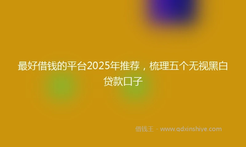 最好借钱的平台2025年推荐，梳理五个无视黑白贷款口子