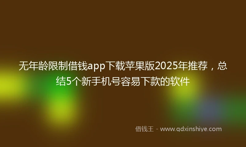 无年龄限制借钱app下载苹果版2025年推荐，总结5个新手机号容易下款的软件