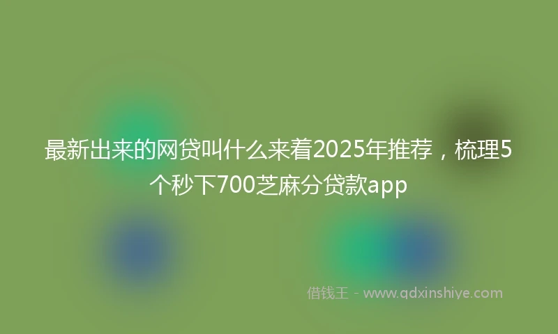 最新出来的网贷叫什么来着2025年推荐，梳理5个秒下700芝麻分贷款app