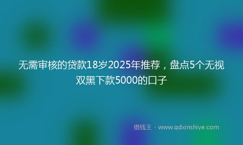 无需审核的贷款18岁2025年推荐，盘点5个无视双黑下款5000的口子