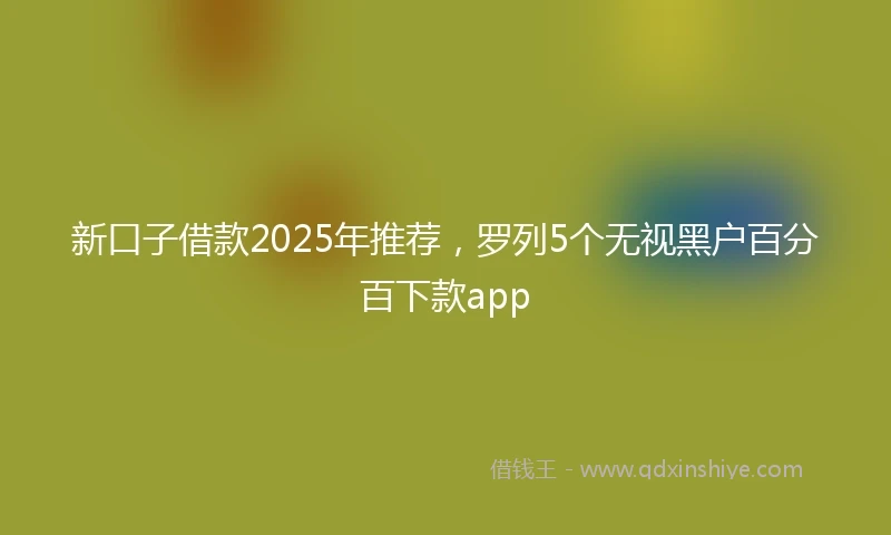新口子借款2025年推荐，罗列5个无视黑户百分百下款app