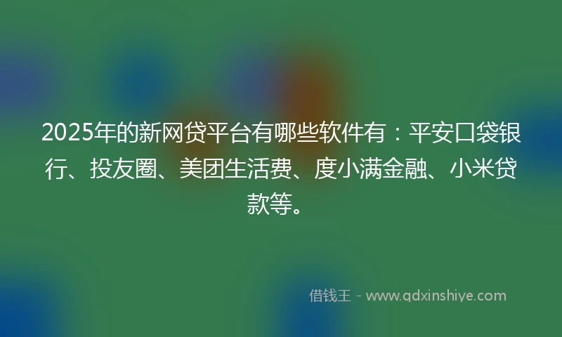 2025年的新网贷平台有哪些软件有：平安口袋银行、投友圈、美团生活费、度小满金融、小米贷款等。