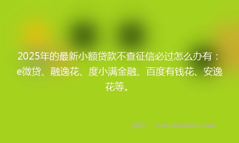 2025年的最新小额贷款不查征信必过怎么办有:e微贷、融逸花、度小满金融、百度有钱花、安逸花等。