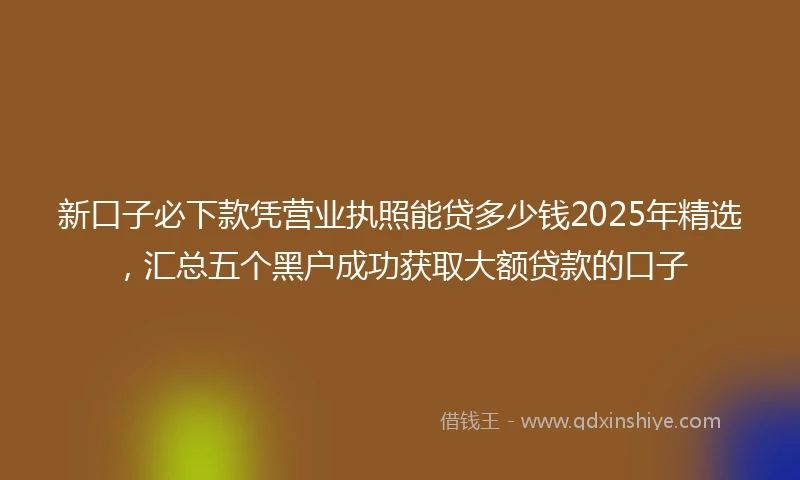 新口子必下款凭营业执照能贷多少钱2025年精选，汇总五个黑户成功获取大额贷款的口子