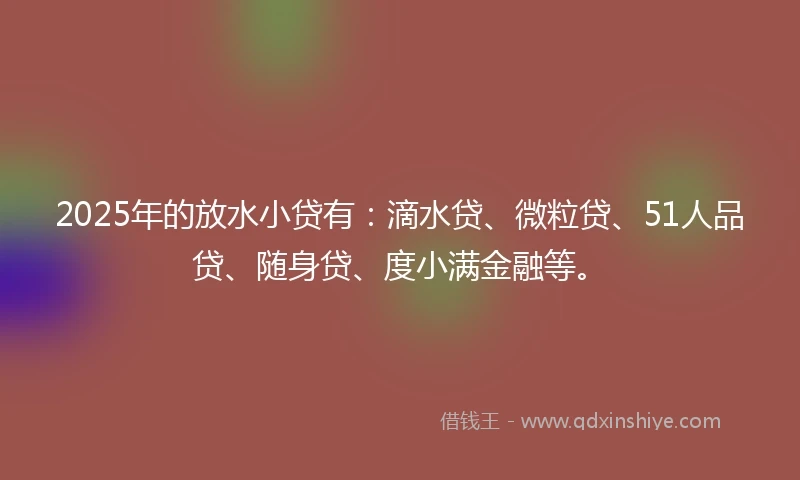 2025年的放水小贷有：滴水贷、微粒贷、51人品贷、随身贷、度小满金融等。