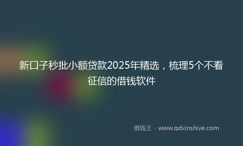 新口子秒批小额贷款2025年精选，梳理5个不看征信的借钱软件