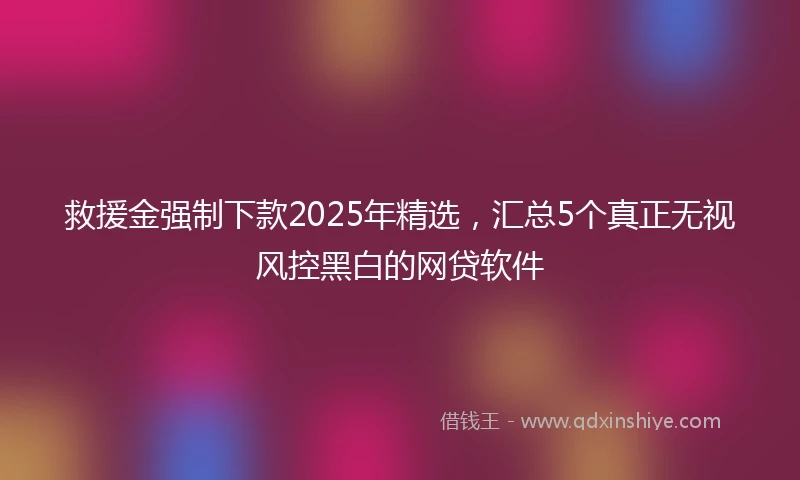 救援金强制下款2025年精选，汇总5个真正无视风控黑白的网贷软件