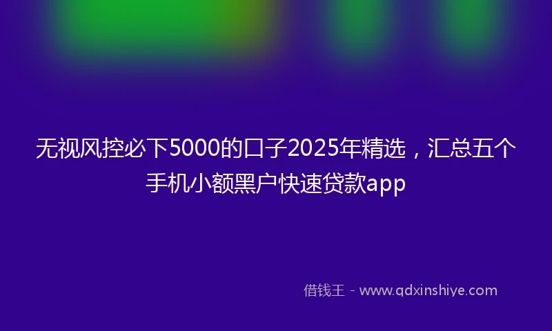 无视风控必下5000的口子2025年精选，汇总五个手机小额黑户快速贷款app