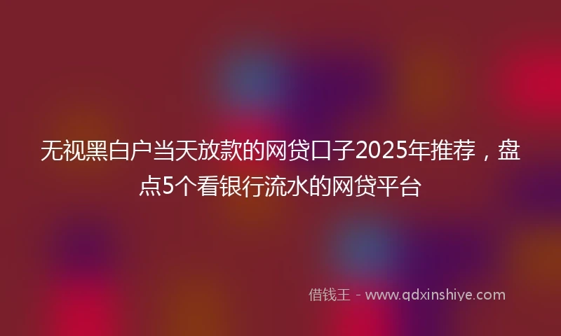 无视黑白户当天放款的网贷口子2025年推荐，盘点5个看银行流水的网贷平台