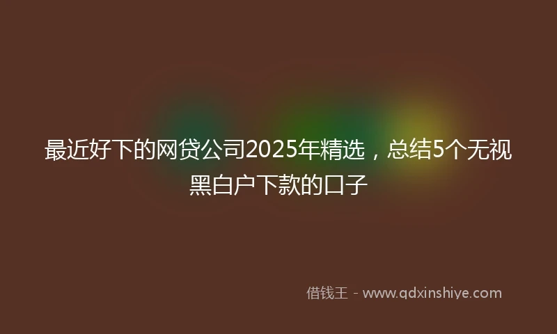 最近好下的网贷公司2025年精选，总结5个无视黑白户下款的口子