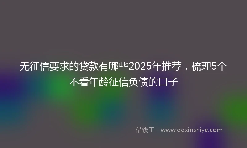 无征信要求的贷款有哪些2025年推荐，梳理5个不看年龄征信负债的口子