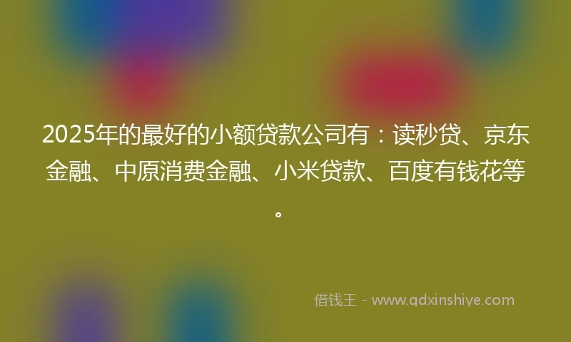 2025年的最好的小额贷款公司有：读秒贷、京东金融、中原消费金融、小米贷款、百度有钱花等。