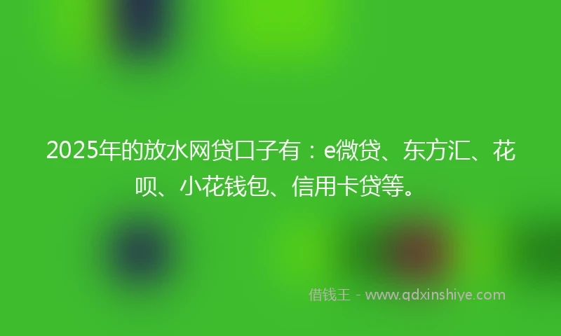 2025年的放水网贷口子有：e微贷、东方汇、花呗、小花钱包、信用卡贷等。