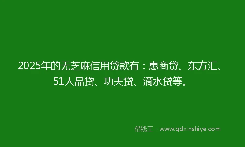 2025年的无芝麻信用贷款有：惠商贷、东方汇、51人品贷、功夫贷、滴水贷等。