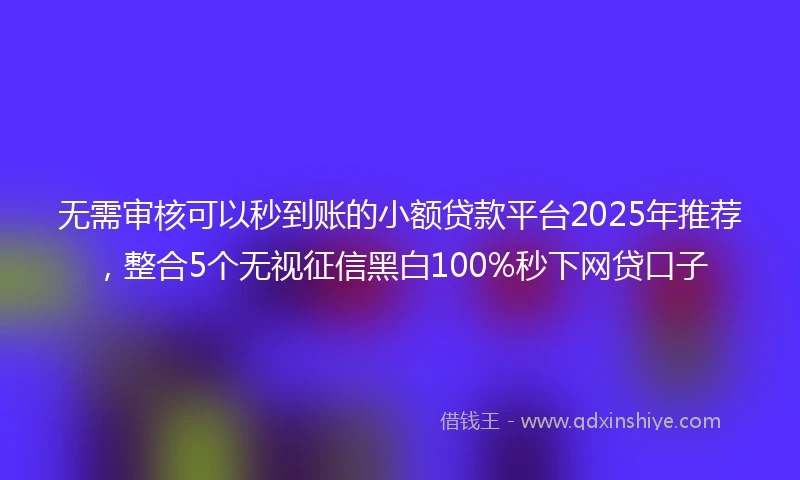 无需审核可以秒到账的小额贷款平台2025年推荐，整合5个无视征信黑白100%秒下网贷口子
