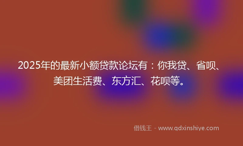 2025年的最新小额贷款论坛有：你我贷、省呗、美团生活费、东方汇、花呗等。