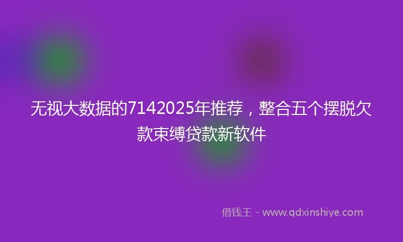 无视大数据的7142025年推荐，整合五个摆脱欠款束缚贷款新软件