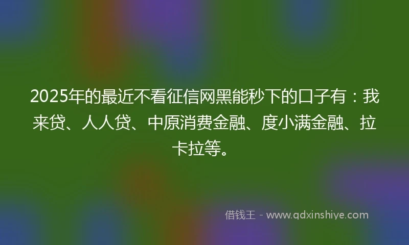 2025年的最近不看征信网黑能秒下的口子有：我来贷、人人贷、中原消费金融、度小满金融、拉卡拉等。