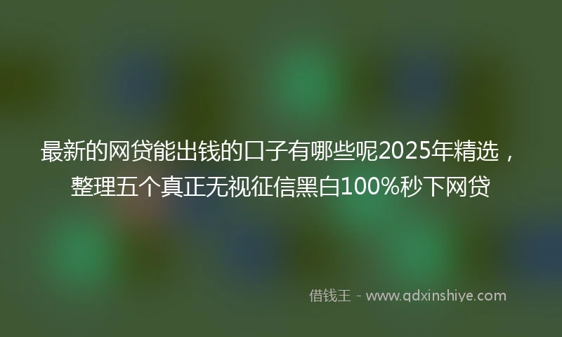 最新的网贷能出钱的口子有哪些呢2025年精选，整理五个真正无视征信黑白100%秒下网贷