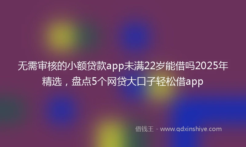无需审核的小额贷款app未满22岁能借吗2025年精选，盘点5个网贷大口子轻松借app