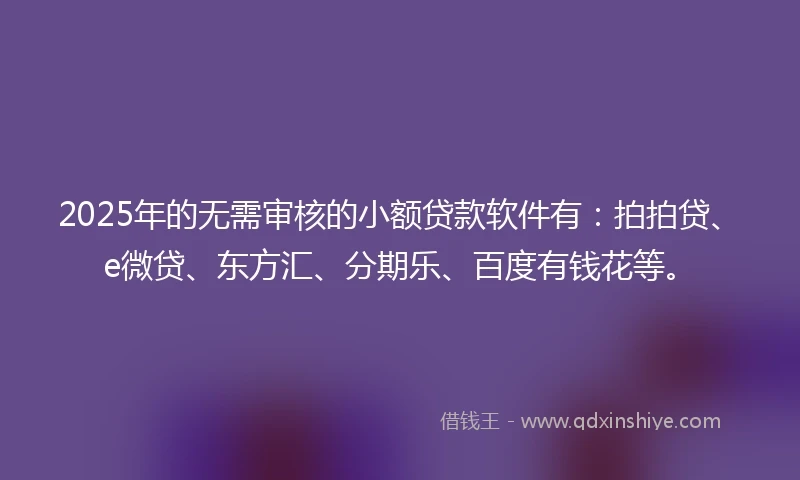 2025年的无需审核的小额贷款软件有：拍拍贷、e微贷、东方汇、分期乐、百度有钱花等。