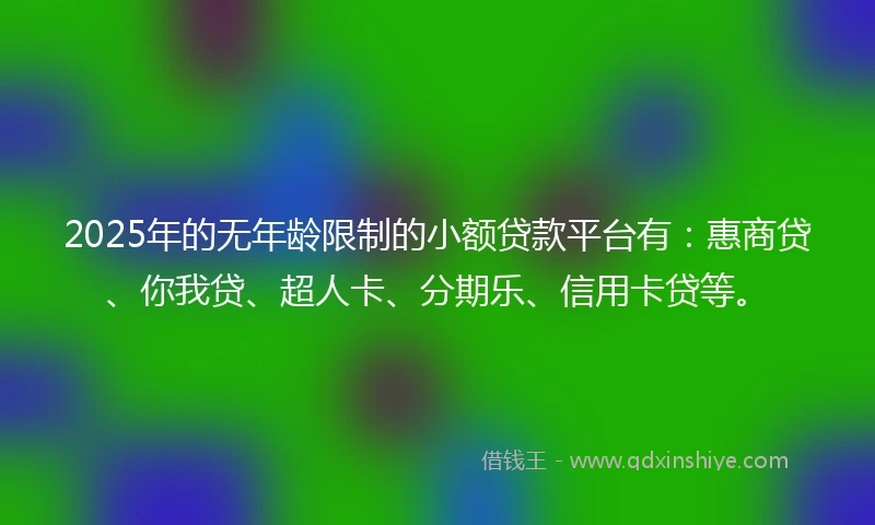 2025年的无年龄限制的小额贷款平台有：惠商贷、你我贷、超人卡、分期乐、信用卡贷等。