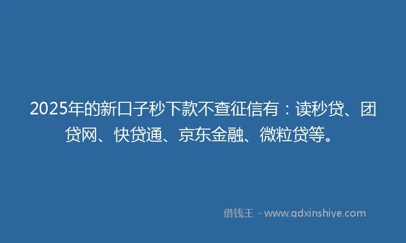 2025年的新口子秒下款不查征信有：读秒贷、团贷网、快贷通、京东金融、微粒贷等。