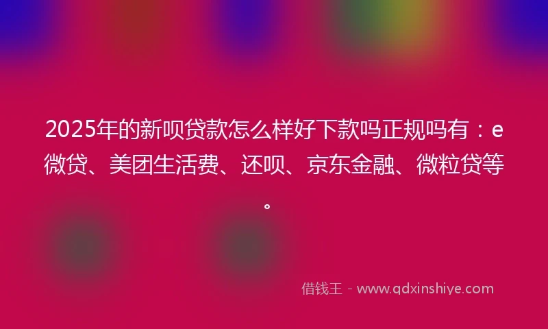 2025年的新呗贷款怎么样好下款吗正规吗有：e微贷、美团生活费、还呗、京东金融、微粒贷等。