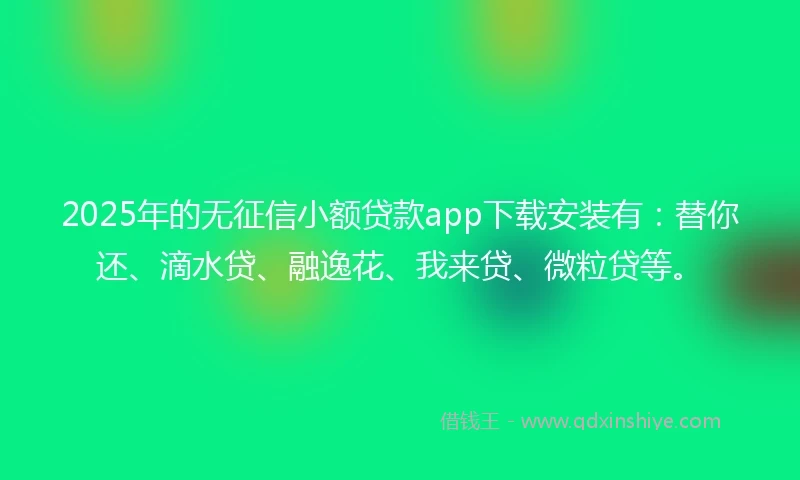 2025年的无征信小额贷款app下载安装有：替你还、滴水贷、融逸花、我来贷、微粒贷等。