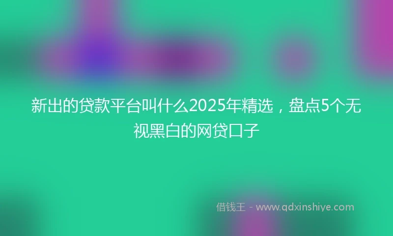 新出的贷款平台叫什么2025年精选，盘点5个无视黑白的网贷口子