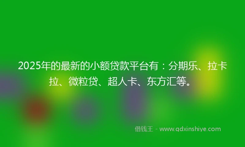 2025年的最新的小额贷款平台有：分期乐、拉卡拉、微粒贷、超人卡、东方汇等。