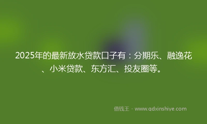 2025年的最新放水贷款口子有：分期乐、融逸花、小米贷款、东方汇、投友圈等。