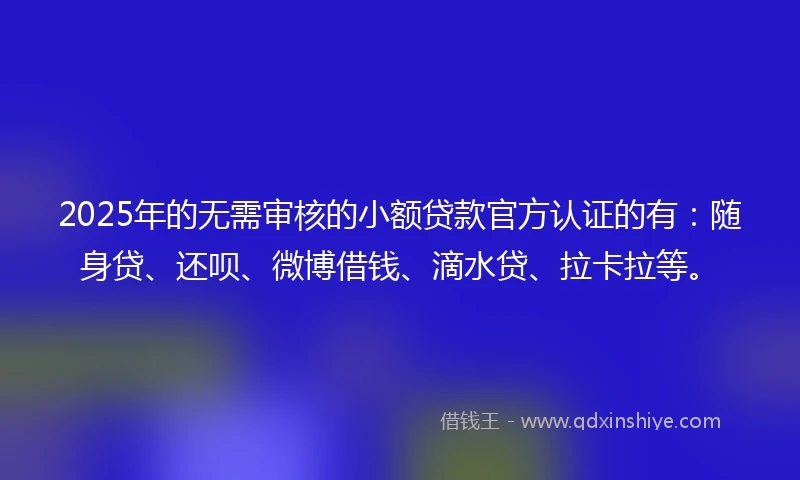 2025年的无需审核的小额贷款官方认证的有：随身贷、还呗、微博借钱、滴水贷、拉卡拉等。