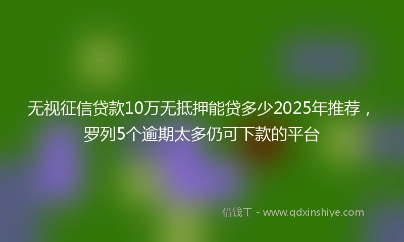 无视征信贷款10万无抵押能贷多少2025年推荐，罗列5个逾期太多仍可下款的平台