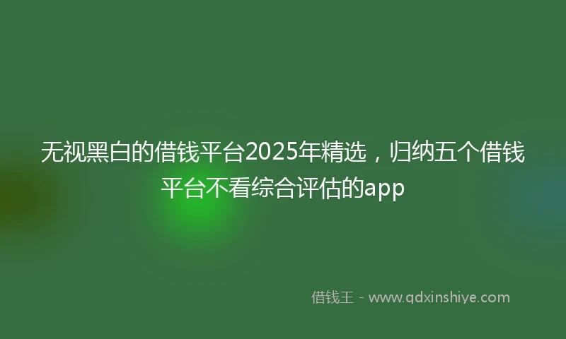 无视黑白的借钱平台2025年精选，归纳五个借钱平台不看综合评估的app