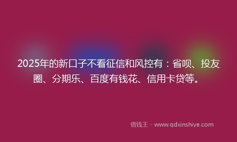 2025年的新口子不看征信和风控有：省呗、投友圈、分期乐、百度有钱花、信用卡贷等。