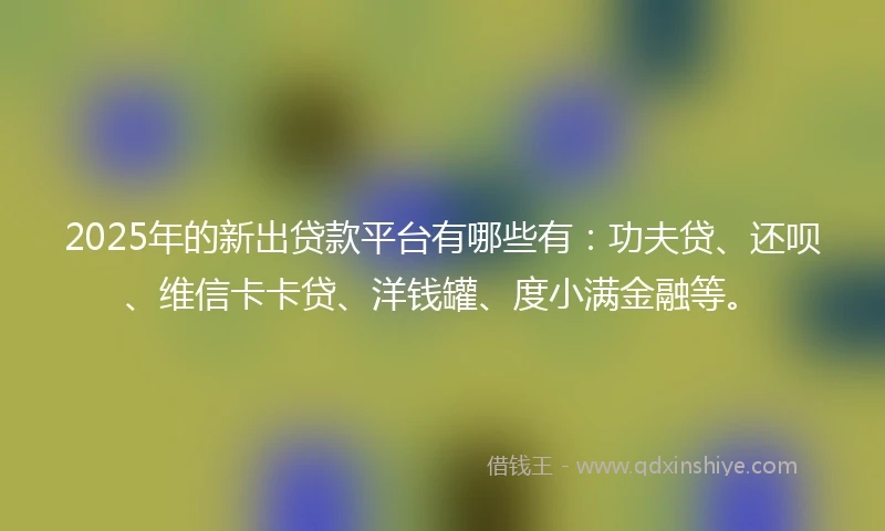 2025年的新出贷款平台有哪些有：功夫贷、还呗、维信卡卡贷、洋钱罐、度小满金融等。